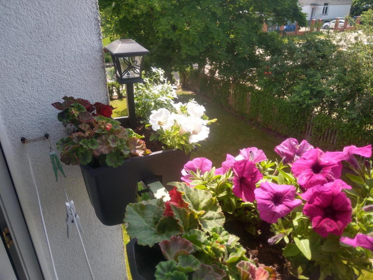 גדנסק Apartament Olivia Centrum Z Zamknietym Parkingiem מראה חיצוני תמונה