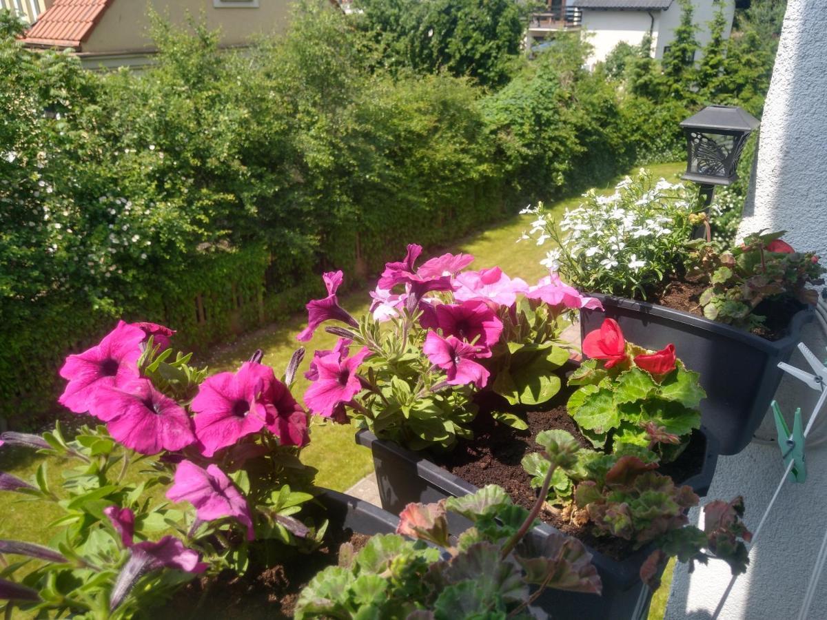 גדנסק Apartament Olivia Centrum Z Zamknietym Parkingiem מראה חיצוני תמונה